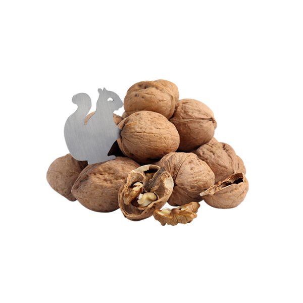 CAN CAN Pratik Ceviz Açacağı