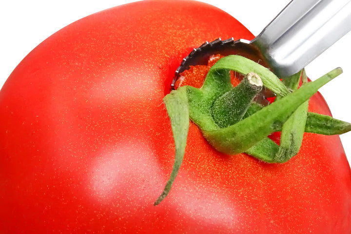 CAN CAN Pratik Sap Ayıklama Kaşığı