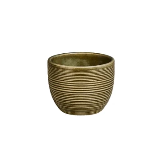 Helix Bamboo Çay Fincanı No Handle 220 cc